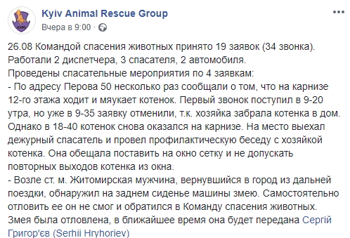 Путешественница: в Киеве обнаружили неожиданное животное на заднем сидении автомобиля